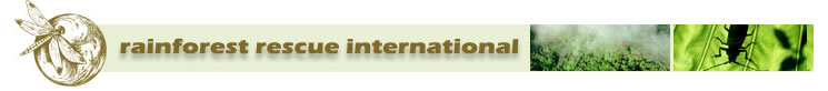 Rainforest Rescue International Image and Link.