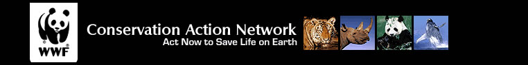 World Wildlife Foundation Image and Link.